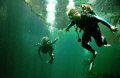   This picture taken CenoteCenotes are very famous do diving freediving water so crystal clear you have 150 mts visibility took honeymooners had their first dive Cenote Manati  